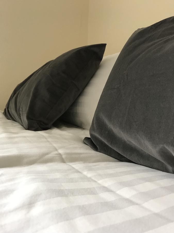 Guest house Promodus - Zebra